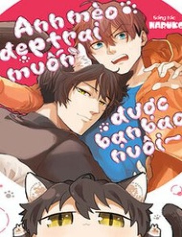 Anh Mèo Đẹp Trai Muốn Được Bạn Bao Nuôi