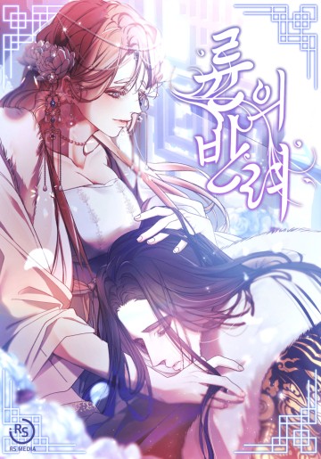 Con Rồng Và Hoàng Tử